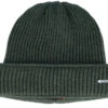 Beanie Merino Wool Green Cuff - Stetson