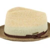 Player Toyo Beige/Brown Straw Hat - Stetson -Stetson 4063633138201 1